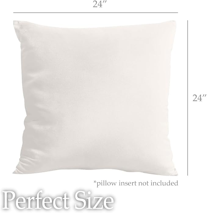 lalaLOOM Velvet Throw Pillow Covers, Set of 2, 24x24 Decorative Square Pillows Home Decor, Soft Accent Cases, Silky Machine Washable Pillowcases for Sofa, Couch, Bedroom, Living Room, Cream