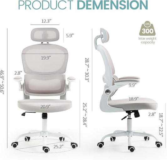 Yilaywain Ergonomic Office Chair, Home Office Desk Chair with Adjustable Headrest, High Back Computer Chair with Armrests and Lumbar Support for Home Office Study Room, Black & Gray (Grey)