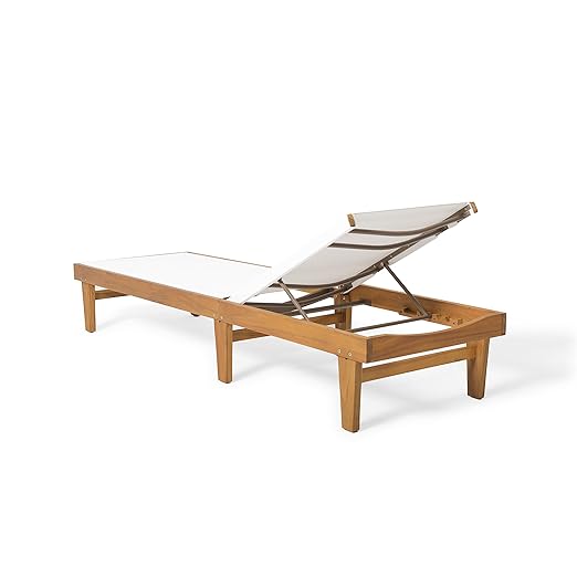 Christopher Knight Home Shiny Outdoor Wood Chaise Lounge (Set of 2), Teak Finish/White Mesh