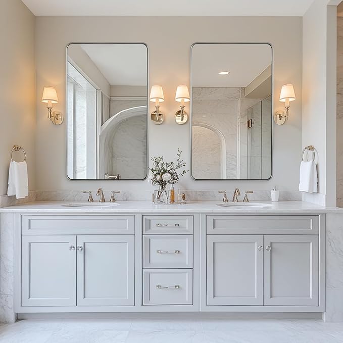 ANDY STAR Wall Mirror for Bathroom, 24x40 Inch Brushed Nickel Rectangle Bathroom Mirror for Over Sink, Modern Silver Rectangular Mirror for Vanity with Non-Rusting Tube Metal Frame, Explosion-Proof