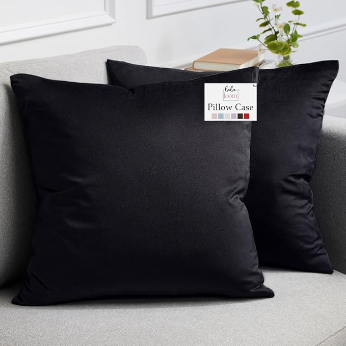 lalaLOOM Velvet Throw Pillow Covers, Set of 2, 20x20 Decorative Square Pillows Home Decor, Soft Accent Cases, Silky Machine Washable Pillowcases for Sofa, Couch, Bedroom, Living Room, Jet Black