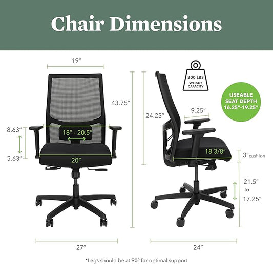 HON Ignition 2.0 Mid Back Task Chair, Spectrum Mesh, Standard Synchro-Tilt Control, Office Chair with Lumbar Support, Height and Width Adjustable Arms, Black Frame, Salamander