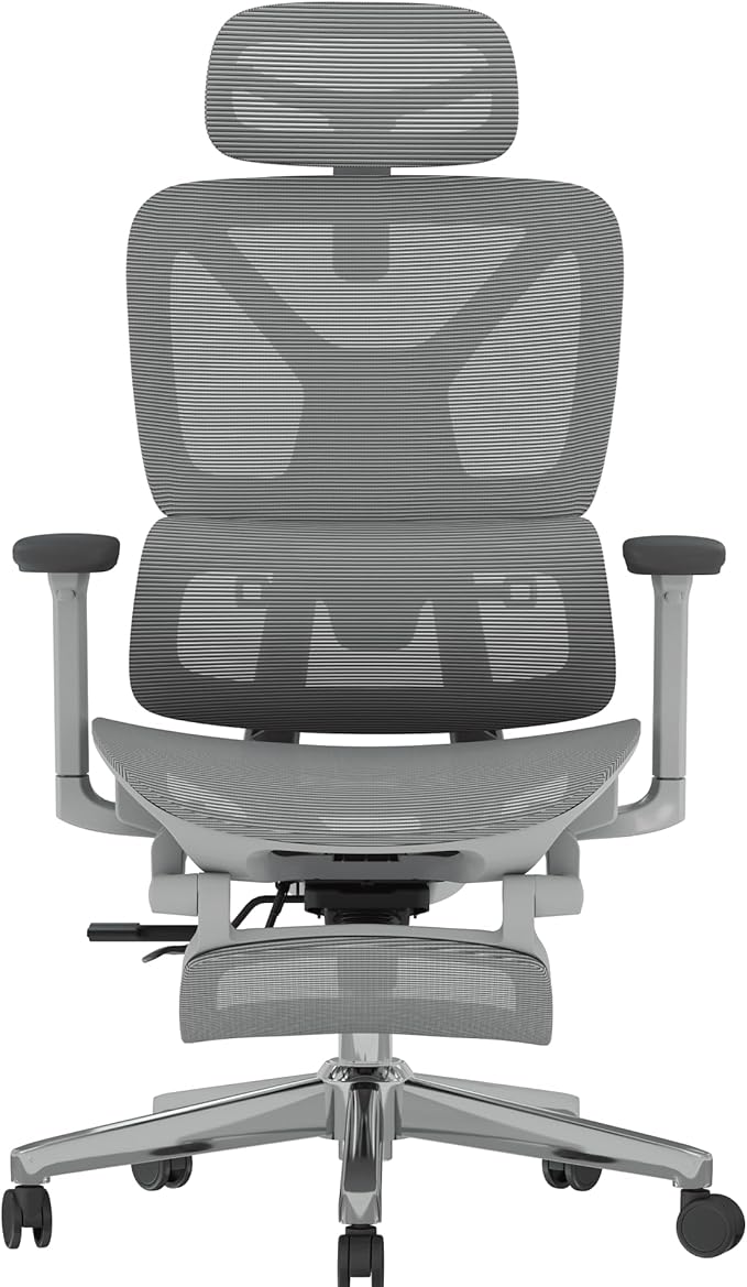 FLEXISPOT ErgoX Premium Ergonomic Office Chair with Footrest- Adjustable 3D Armrests, Dynamic Lumbar Support, Recline & Tilt Function, Mesh Seat, for Home & Office Use,Light Grey