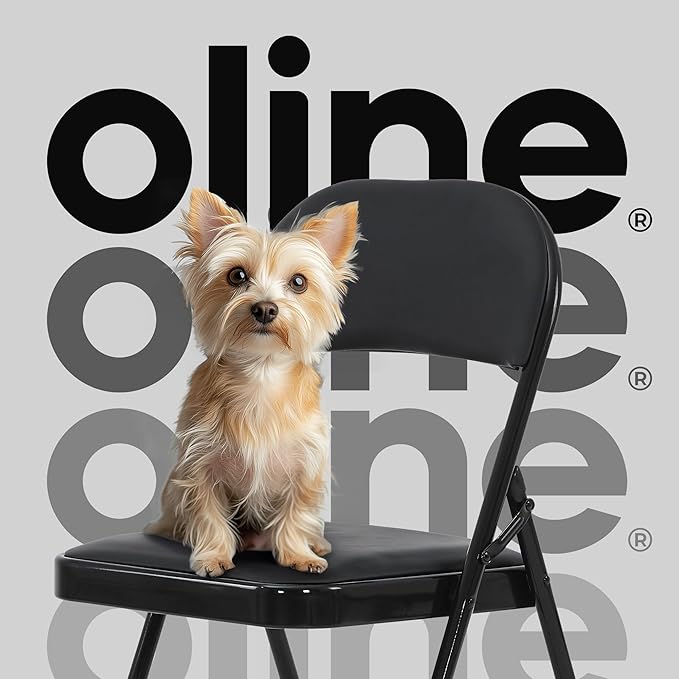 Oline Vinyl Folding Chairs, Padded Vinyl Cushion Chairs with Durable Metal Frame, Indoor Outdoor Stackable Foldable Guest Chairs for Office Wedding Kitchen Dining, 300lb Capacity (Black, 2 Pack)