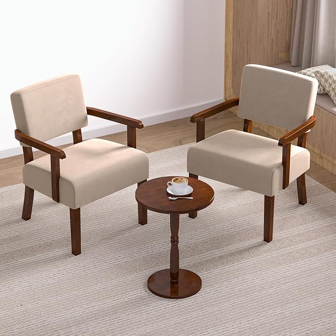 Accent Chair, Cat-Scratch Velvet Living Room Chairs Oversize with Soft Seat and Armrests for Dinning Room Bedroom Reading Room Waiting Room