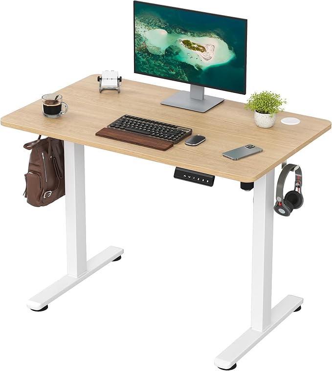 Casaphoria 40 x 24 inches Electric Standing Desk, Sit to Stand Desk with Memory Height Adjustment, Home Office Computer Desk for Writing and Games, Oak