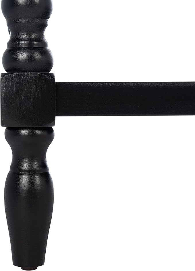 SAFAVIEH Home Collection Athena Black 2-Drawer Console Table