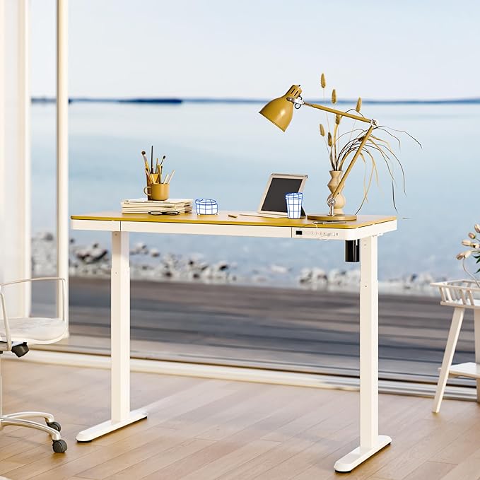 FLEXISPOT Electric Standing Desk with Drawer Storage Adjustable Height Quick Assembly Table w/USB Charge Ports, Child Lock (Natural Desktop + White Frame)
