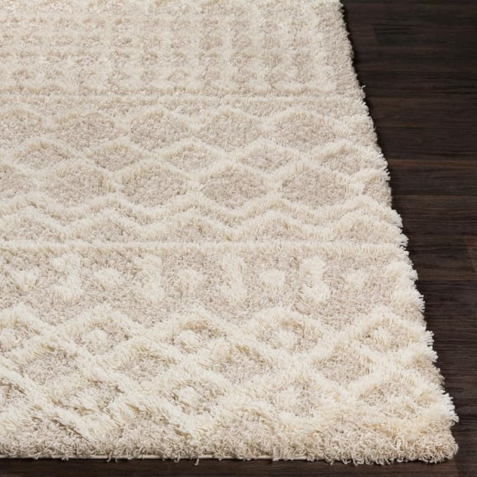 Livabliss Hapsburg Moroccan Shag Runner Area Rug,2'7" x 16',Beige