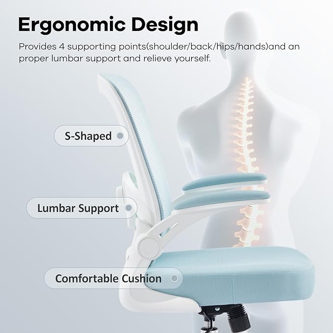 Office Chair,Ergonomic Mesh Desk Chair with Adjustable Lumbar Support,Computer Chair with Flip-up Armrests, Rolling Executive Chairs, Home Office Chair(Blue)