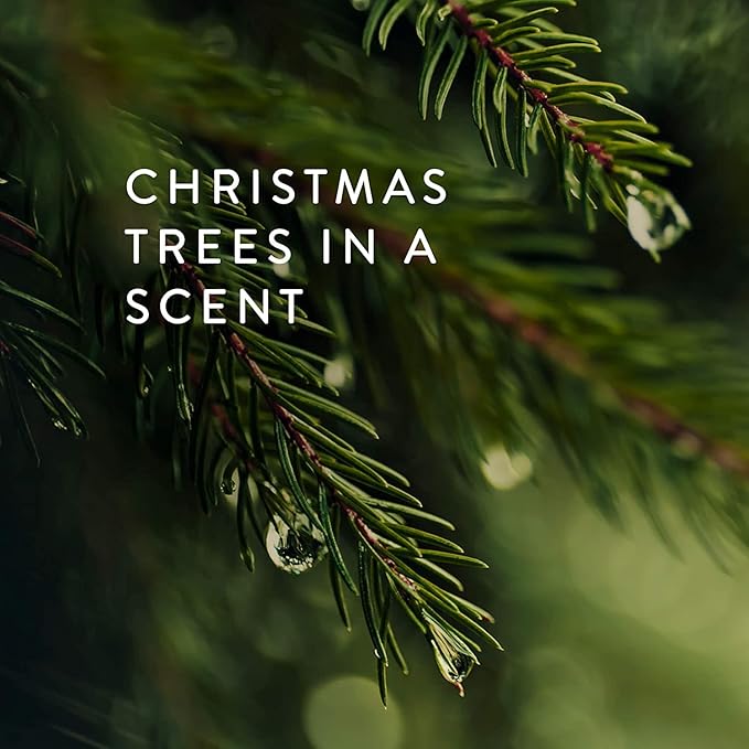 Thymes Frasier Fir Gilded Gold 3-Wick Candle - Scented Candle with a Crisp Just-Cut Forest Fragrance - Luxury Home Fragrance - Elegant Holiday Candle - Gold Jar Candle (17 oz)