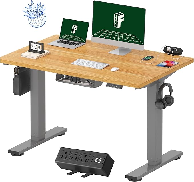 FLEXISPOT EN2 Whole-Piece Standing Desk with Clamp Power Strip, 48 x 30 Electric Stand Up Height Adjustable Desk with Cable Management (Gray Frame + 48" Maple Top, 2 Packages)