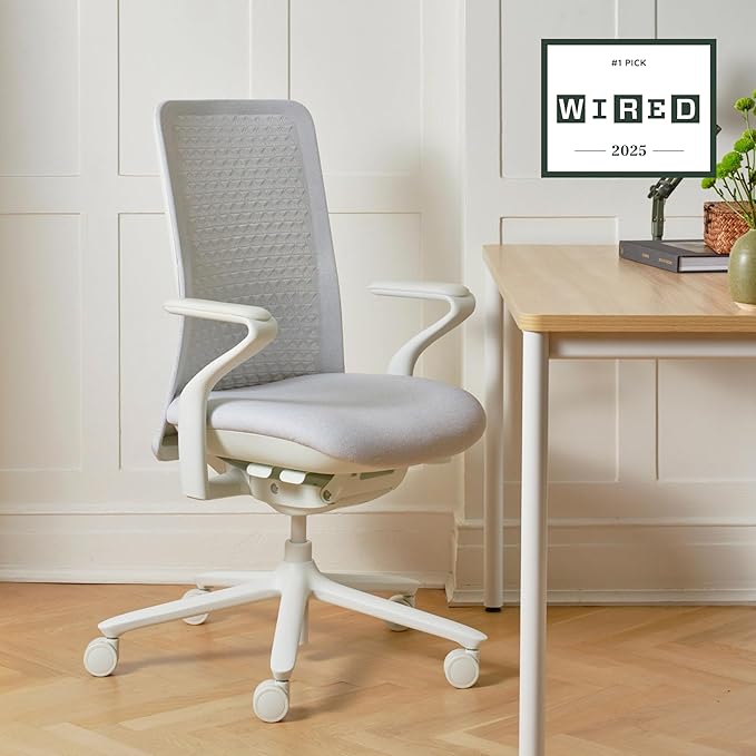 Branch Verve Chair - High Performance Executive Office Chair with Contoured Seat Back and Adjustable Lumbar Rest - High Density Foam Cushion with Aluminum Base - Up to 275 lbs - Mist