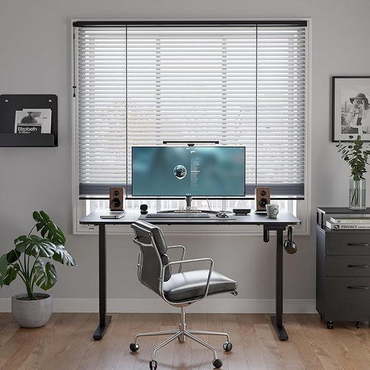 FEZIBO One-Piece Standing Desk Adjustable Height Stand up Home Office Desk, 48x24 Inch Electric Standing Computer Desk, with 4 Memory Presets, Headphone Hook, Black
