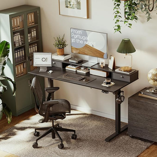 Agilestic 53x 24 Inches Height Adjustable Electric Standing Desk with 2 Drawers, Stand Up Electric Desk Adjustable Height, Sit Stand Computer Gaming Table with Splice Board, Black