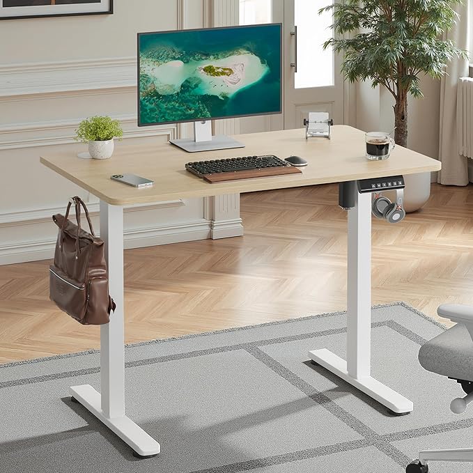 Casaphoria 40 x 24 inches Electric Standing Desk, Sit to Stand Desk with Memory Height Adjustment, Home Office Computer Desk for Writing and Games, Oak
