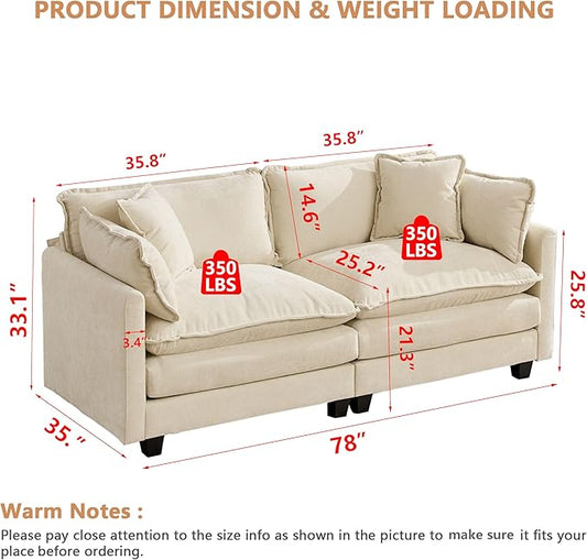 Aoowow Modular Sectional 2 Seater Cloud Sofa Couch for Living Room,78" Loveseat Couch with Deep Seat,Modern Chenille 2 Seat Sofas,Fluffy Small Couches for Bedroom,Small Spaces (Beige, 2 Seater)