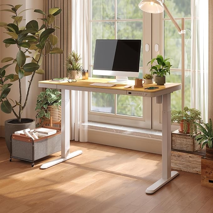 FLEXISPOT Electric Standing Desk with Drawer Storage Adjustable Height Quick Assembly Table w/USB Charge Ports, Child Lock (Natural Desktop + White Frame)
