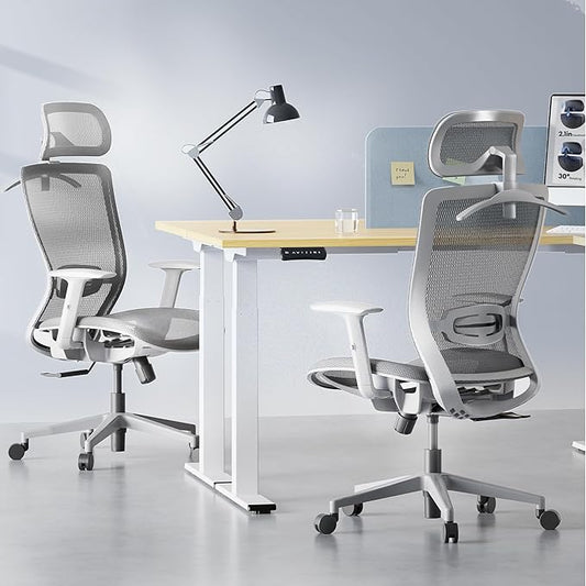 FLEXISPOT OC3 Air Ergonomic Office Chair High Back Computer Chair with Adjustable Lumbar Support/Armrest/, Breathable Mesh Seat Cushion Backrest, Chairs for Home Office Gaming Working, Light Gray