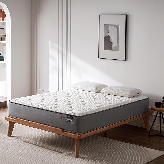 EPITEX Silverluxe Plus Queen Mattress, 10 Inch Gel Memory Foam Queen Size Mattress in a Box, Individual Pocket Spring for Low Motion Transfer, Medium Firm Mattress, Gray
