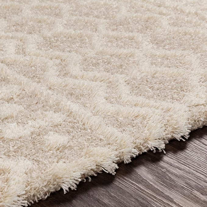 Livabliss Hapsburg Moroccan Shag Area Rug, 6'7" x 9'6", Beige