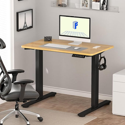 FLEXISPOT EN1 Whole-Piece Standing Desk 40" x 24" Electric Small Desk for Home Office (Black Frame + Maple Top, 2 Packages)