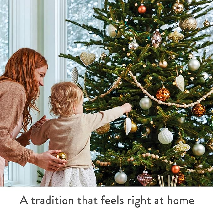 Thymes Frasier Fir Reed Diffuser Set – Includes Reeds, Fragrance Oil, and Frosted Glass Bottle – Fragrance Oil Diffuser – Room Fresheners – Luxury Home Decor – Green & Clear (Pine Needle, 4 fl oz)