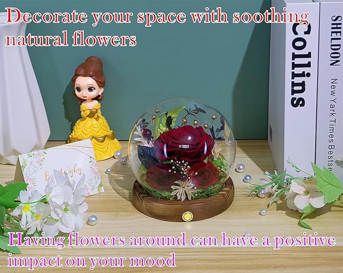 Valley of Rain & Forest Long-Lasting Real Flowers, Unique Floral Gift for You to Send Love for All Occasions, for Indoor Decoration (Dark Red Rose Arrangement)