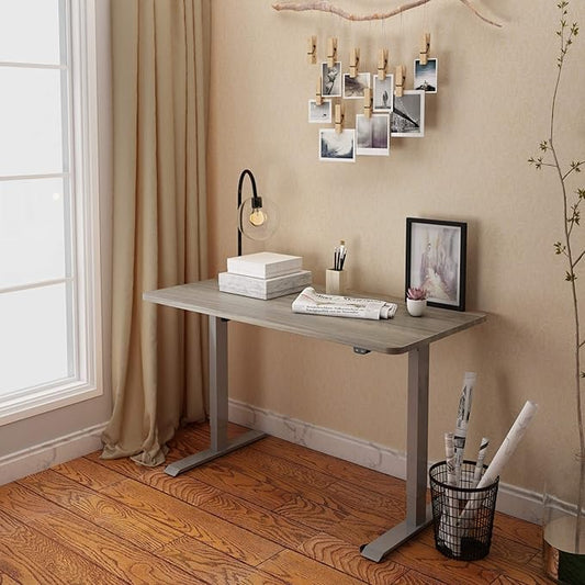 FLEXISPOT EN1 One-Piece Standing Desk 48 x 24 Inches Height Adjustable Electric Desk (Silver Frame + Grey Wood Grain Top, 2 Packages)