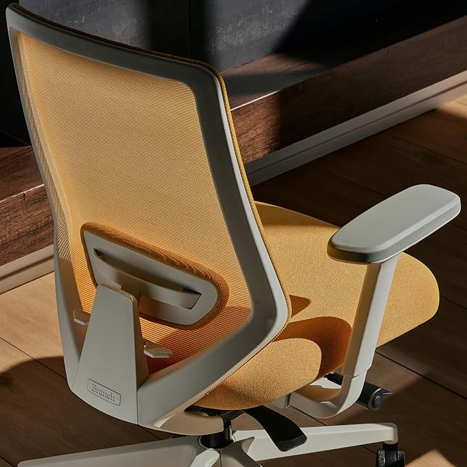 Branch Ergonomic Chair Pro - Mesh Office Chair with 14 Points of Adjustment - Height, Depth & Tilt Adjustable - 5D Armrests - Forward Tilt, Smooth Recline, and Lumbar Support - Spark