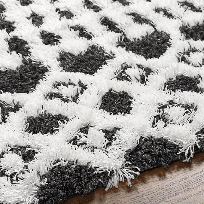 Livabliss Hapsburg Moroccan Shag Area Rug,9'3" x 12',Black/White
