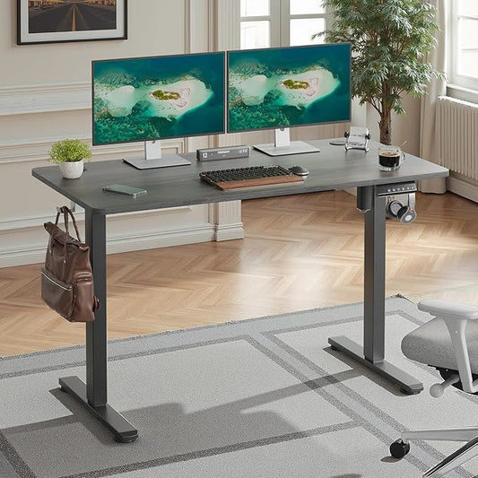 Casaphoria 47 x 24 inches Electric Standing Desk, Sit to Stand Desk with Memory Height Adjustment, Home Office Computer Desk for Writing and Games, Grey