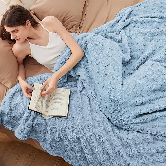 Bedsure GentleSoft Blankets Queen Size for Bed - Super Soft Cozy Blanket for Women Men Girls, Large Fuzzy Fleece Throw for Bedroom Decor, Light Blue, 90x90 Inches
