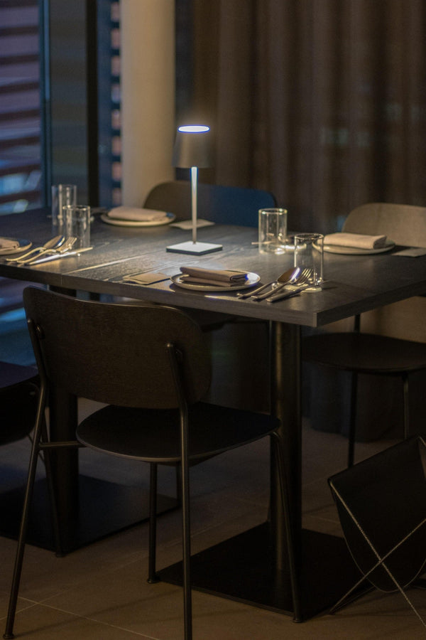 Dining Chairs