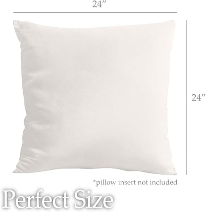 lalaLOOM Velvet Throw Pillow Covers, Set of 2, 24x24 Decorative Square Pillows Home Decor, Soft Accent Cases, Silky Machine Washable Pillowcases for Sofa, Couch, Bedroom, Living Room, Cream