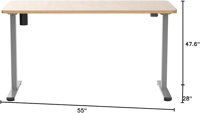 FLEXISPOT EN1 One-Piece Electric Standing Desk, 55 x 28 inch Stand Up Desk for Home Office (Silver Frame + 55" Natural Top, 2 Packages)