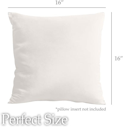 lalaLOOM Velvet Throw Pillow Covers, Set of 2 Decorative Square Pillows Home Decor, Soft Accent Cases, Silky Machine Washable Pillowcases for Sofa, Couch, Bedroom, Living Room, 16x16, Cream