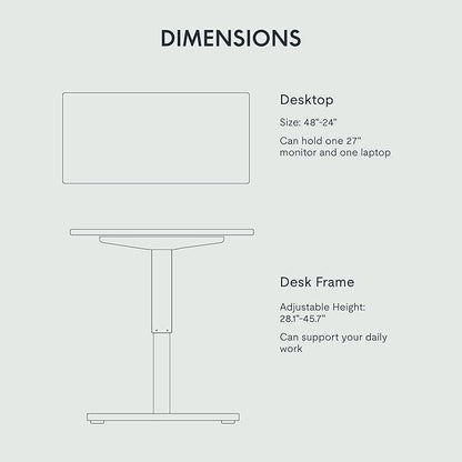 FLEXISPOT EN1 One-Piece Height Adjustable 48 x 24 inch Electric Standing Desk, Stand Up Desk for Home Office (Silver Frame + 48" Natural Top, 2 Packages)