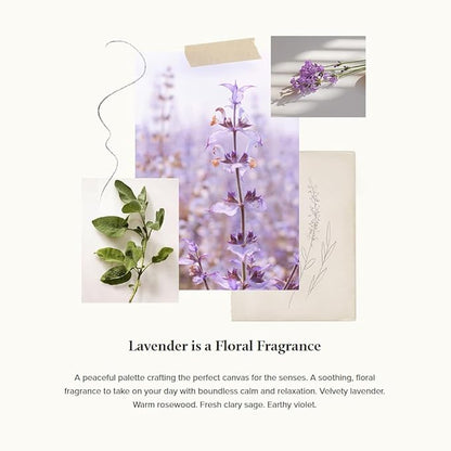 Thymes Aromatic Jar Candle - Lavender Scented Candle for a Soothing Home Fragrance - Matte White Candles (7.5 oz)