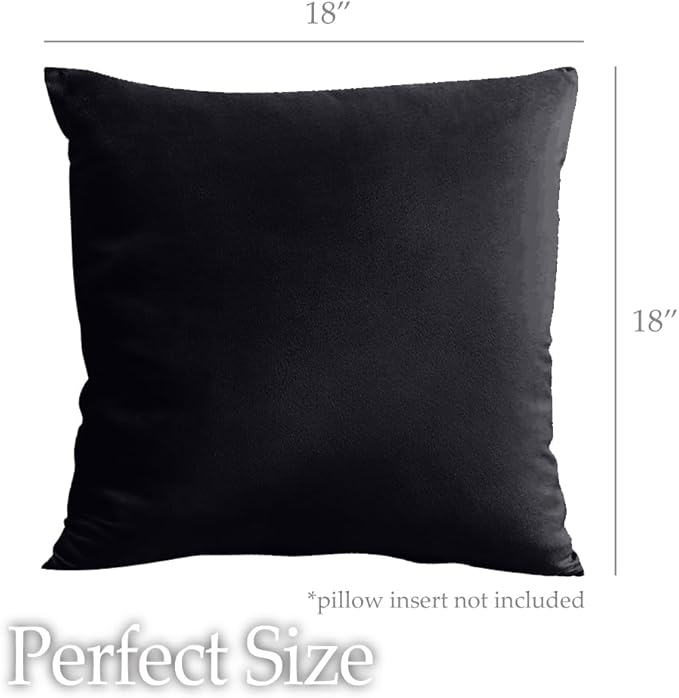 lalaLOOM Velvet Throw Pillow Covers, Set of 2, 18x18 Decorative Square Pillows Home Decor, Soft Accent Cases, Silky Machine Washable Pillowcases for Sofa, Couch, Bedroom, Living Room, Jet Black
