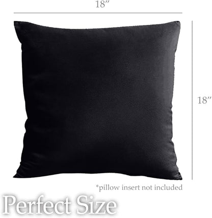 lalaLOOM Velvet Throw Pillow Covers, Set of 2, 18x18 Decorative Square Pillows Home Decor, Soft Accent Cases, Silky Machine Washable Pillowcases for Sofa, Couch, Bedroom, Living Room, Jet Black