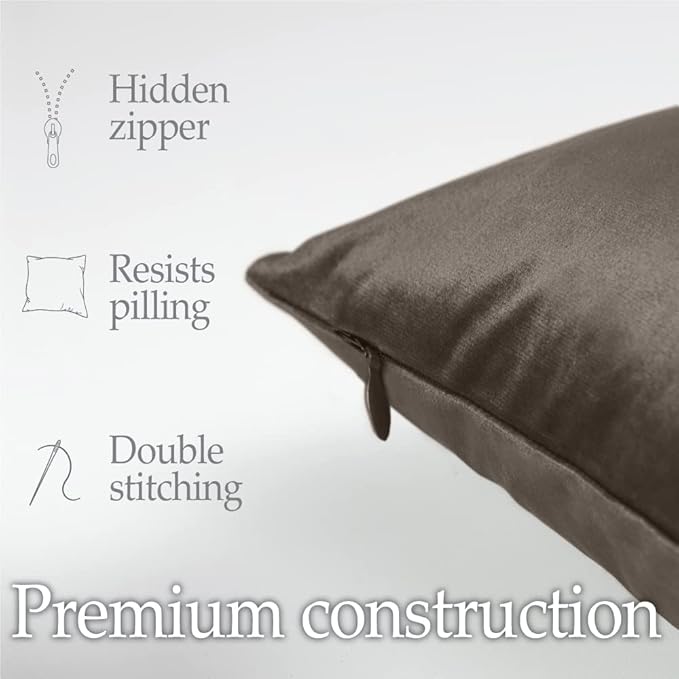 lalaLOOM Velvet Throw Pillow Covers, Set of 2, Soft Accent Cases for Pillows, Decorative Square Home Decor, Silky Machine Washable Pillowcases for Sofa, Couch, Bedroom, Living Room, 16x16, Brown