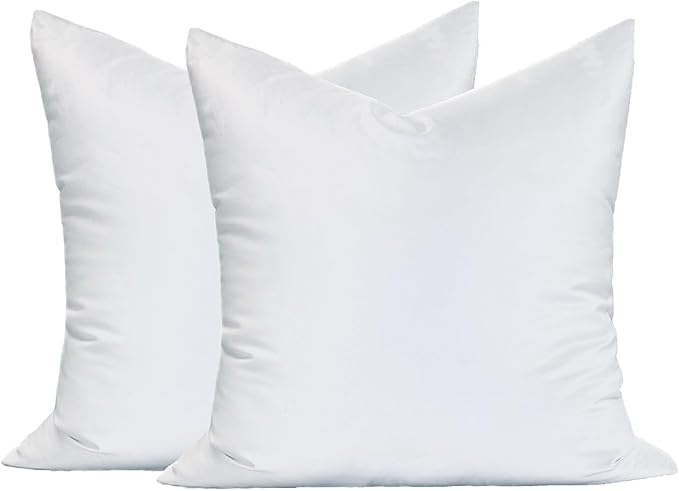 MoonRest® Synthetic Down Alternative 19x19 Square Pillow Insert Form, for Decorative Throw Pillow, Sofa, Cushions, Body and Bed - Pack of 2- Size 19” X 19”