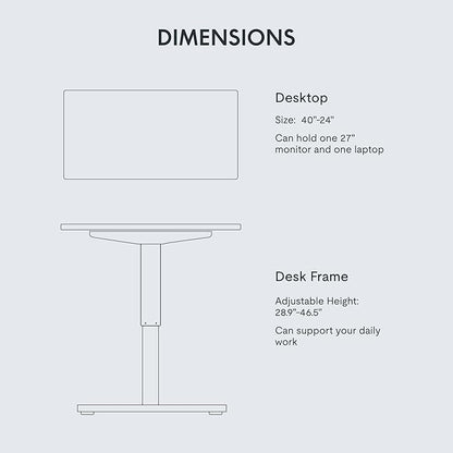 FLEXISPOT EN1 One-Piece Standing Desk 40"x24" White - Home Office Use, Height Adjustable with 4 Memory Presets, Supports Multiple Monitors, White Frame + White Top