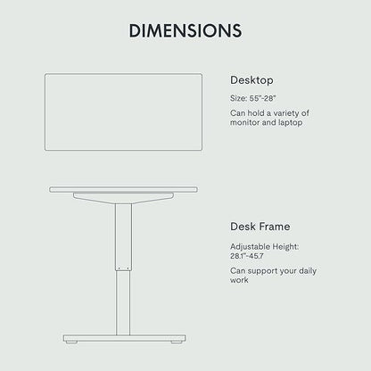 FLEXISPOT EN1 One-Piece Electric Stand Up Desk 55x28 Inches Home Office Computer Standing Table Height Adjustable Desk (Silver Frame + 55" Black Top, 2 Packages)