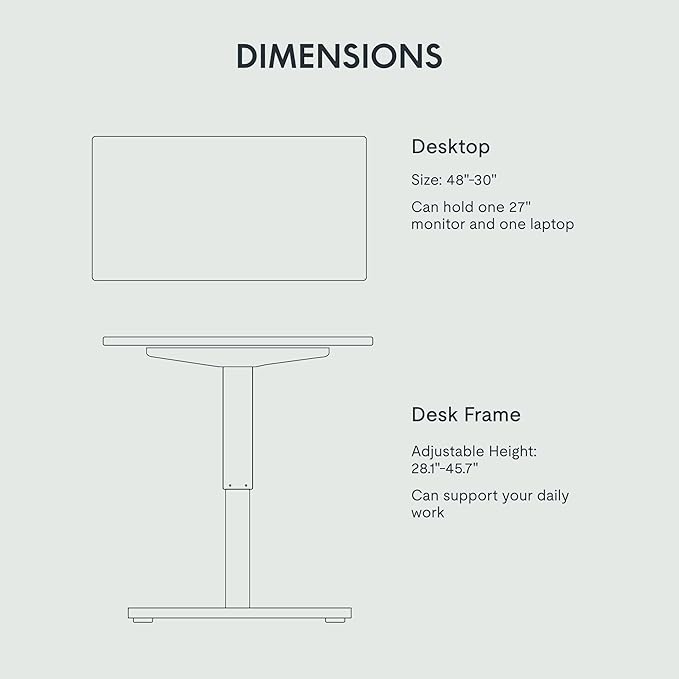 FLEXISPOT EN1 One-Piece Electric Height Adjustable Desk, 48 x 30 Inches Standing Desk Stand Up Desk Workstation (Silver Frame + 48 in Black Top, 2 Packages)