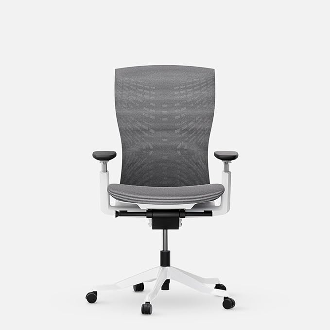 Autonomous ErgoChair Ultra 2 Ergonomic Office Chair Mesh Gray Adjustable Lumbar Support, Rolling Swivel - Home Office Desk Chairs with Wheels and Arms - Ergonomic Desk Chair Comfy for Gaming & Office