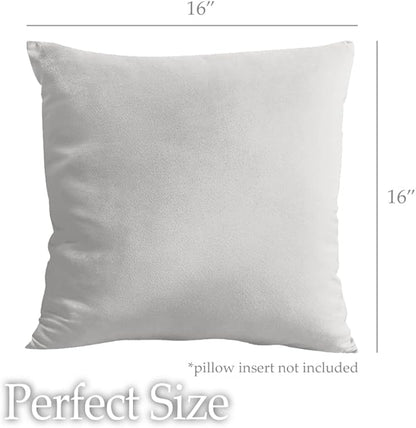 lalaLOOM Velvet Throw Pillow Covers, Set of 2 Decorative Square Pillows Home Decor, Soft Accent Cases, Silky Machine Washable Pillowcases for Sofa, Couch, Bedroom, Living Room, 16x16, Light Gray