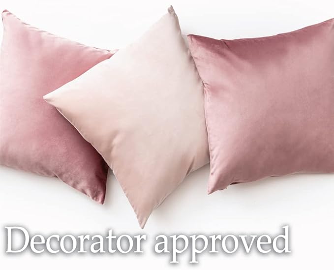 lalaLOOM Velvet Throw Pillow Covers, Set of 2, 24x24 Decorative Square Pillows Home Decor, Soft Accent Cases, Silky Machine Washable Pillowcases for Sofa, Couch, Bedroom, Living Room, Jet Black