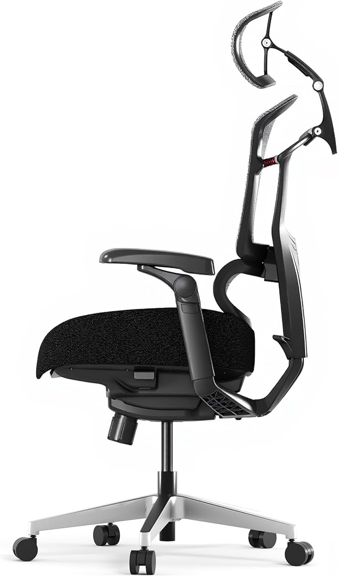 FLEXISPOT ErgoX-PRO Ergonomic Office Chair Black – Cloudtech Cushion, 5D Lumbar, 7D Armrests, 4D Headrest, 551LBS Capacity – Office, Gaming, Home